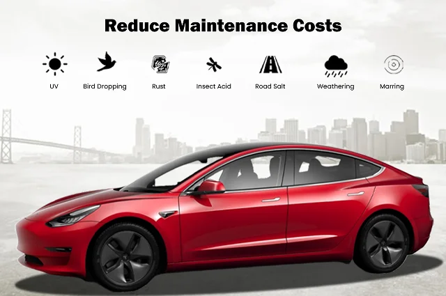 Side view of a red Tesla Model 3 with icons above it representing various hazards—UV, bird droppings, rust, insect acid, road salt, weathering, and marring. Text at the top reads “Reduce Maintenance Costs.”